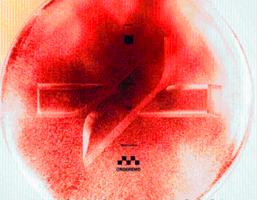 TEGENDRAADS Festival Logo